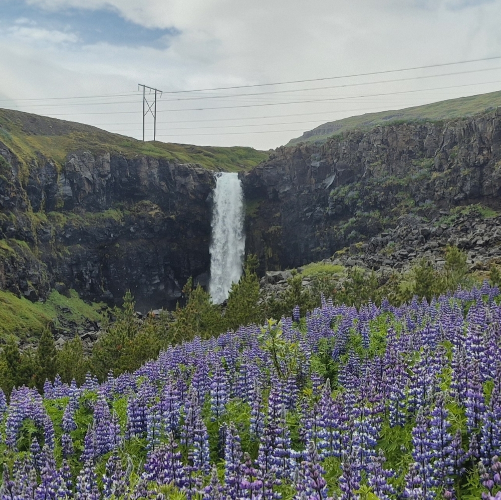 Meet your Posher, Dasha